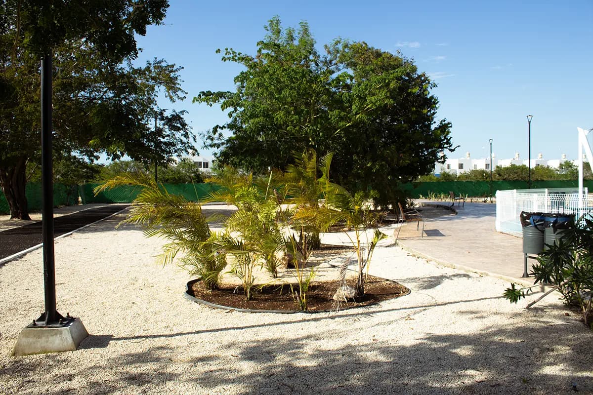 Parque Viva Alegre 6