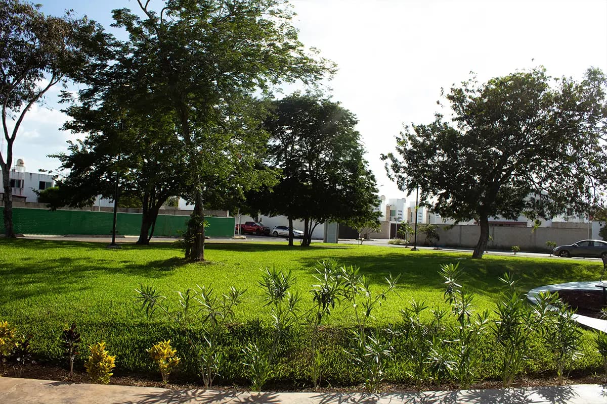 Parque Viva Alegre 15